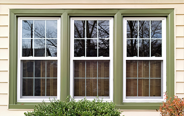 Windows! Windows With Green Trim